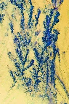 N 060H